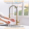 FLG Gold Touchless Kitchen Faucet with Pull Down Sprayer, Motion Sensor Activated Hands-Free Single Handle Kitchen Spring Faucet, Smart Kitchen Sink Faucet with Deck Plate, Brushed Gold