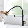 FLG Kitchen Faucet with Pull Down Sprayer Commercial Single Handle Lever Spring Kitchen Sink Faucet Matte Black&Gold